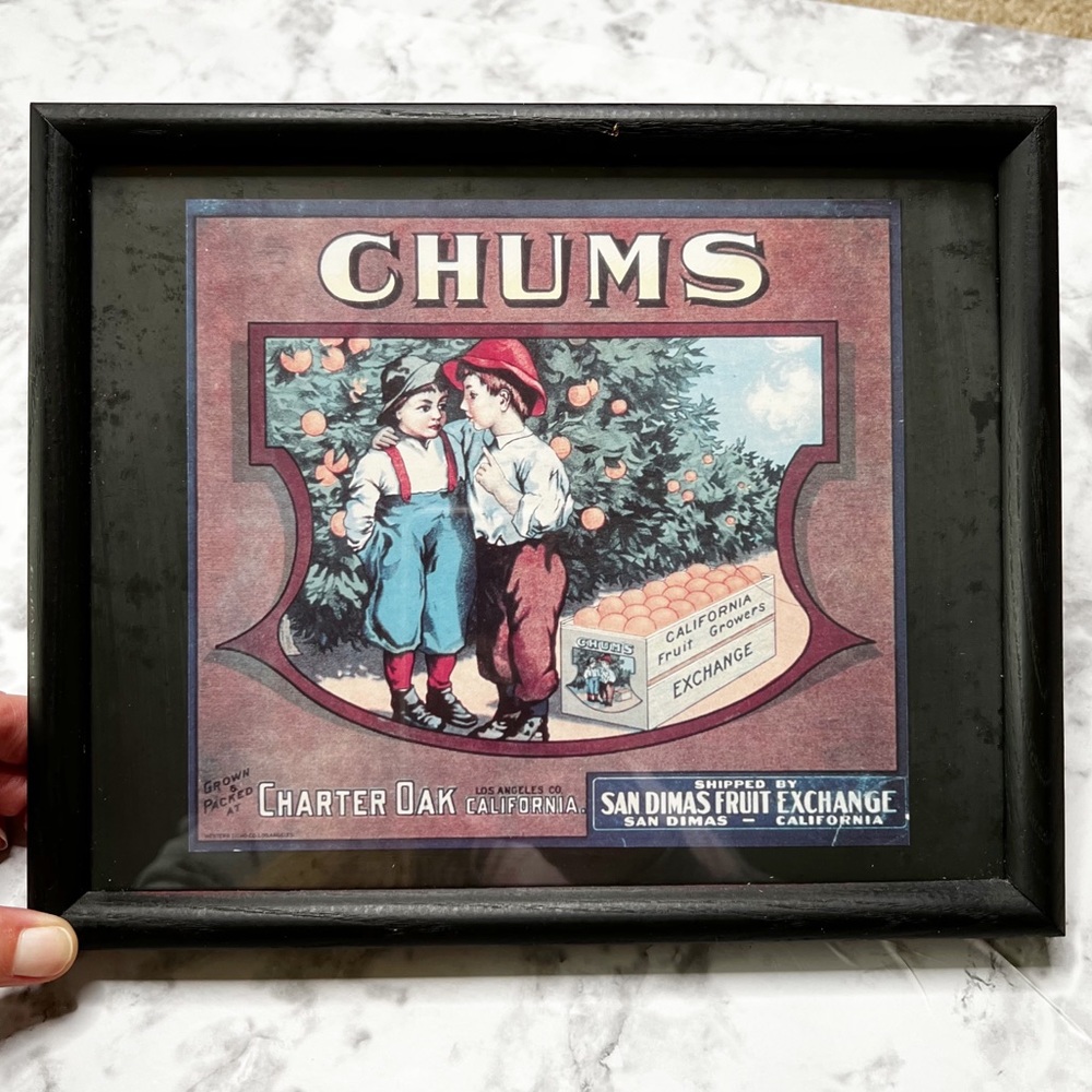 Vintage Chums San Dumas Fruit Exchange Fruit Label Framed Print Art